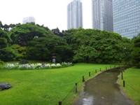 Shiodome